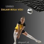 Pengertian Libero Bola Voli