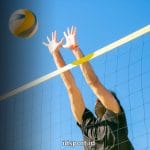 Tinggi Net Bola Voli untuk Putri dan Putra