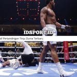 Hasil Pertandingan Tinju Dunia Terbaru